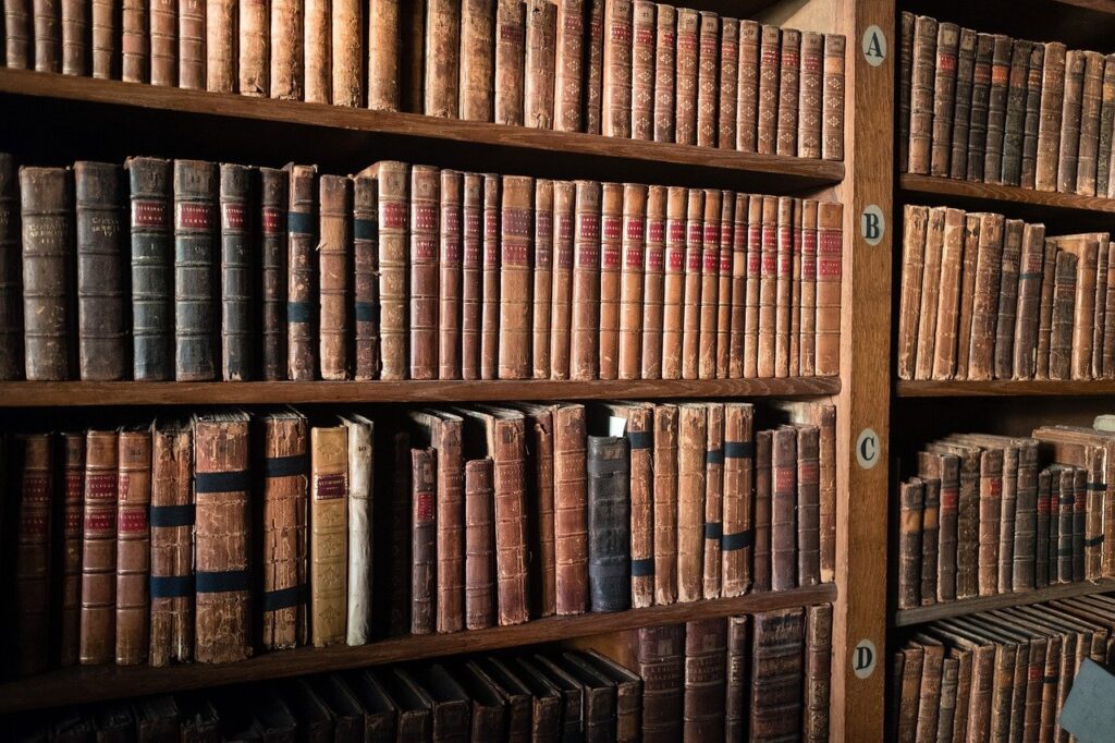 Books Bookcases Old Read Old Books - hgenthe / Pixabay